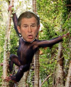 GW_Bush__Monkey_Photoshop_by_hedwig794.jpg