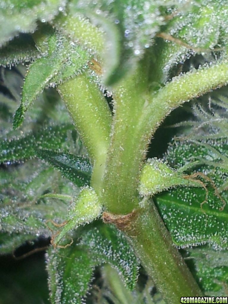 20120830_194637.jpg