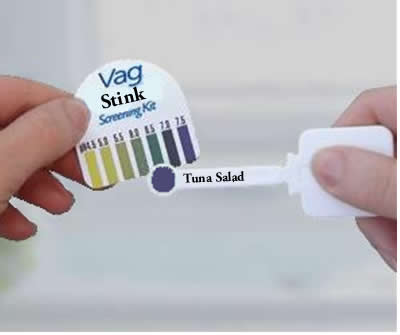 VagasilVaginaStinkKit.jpg