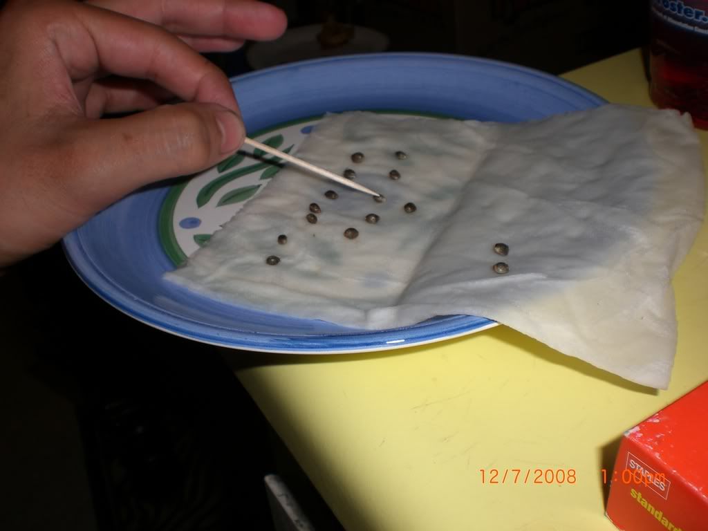 CIMG0885.jpg