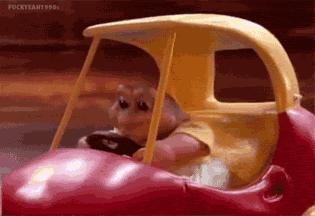 tumblr_m5e6biGVsl1qlifldo2_400.gif