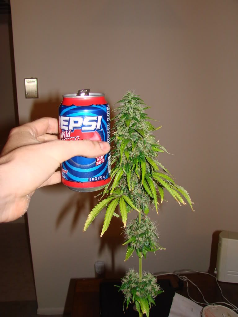 kylepics030.jpg