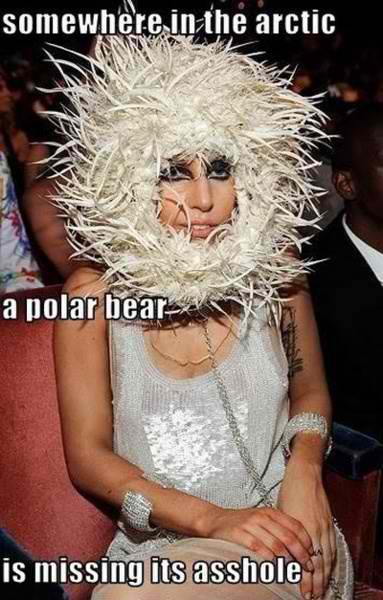 funny-stuff-random-30539018-383-600.jpg