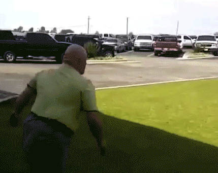 gifs_02.gif