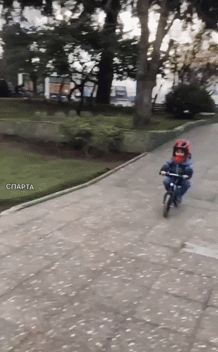 1669656508_13.gif