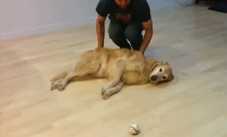 fuC44Nz-Imgur.gif
