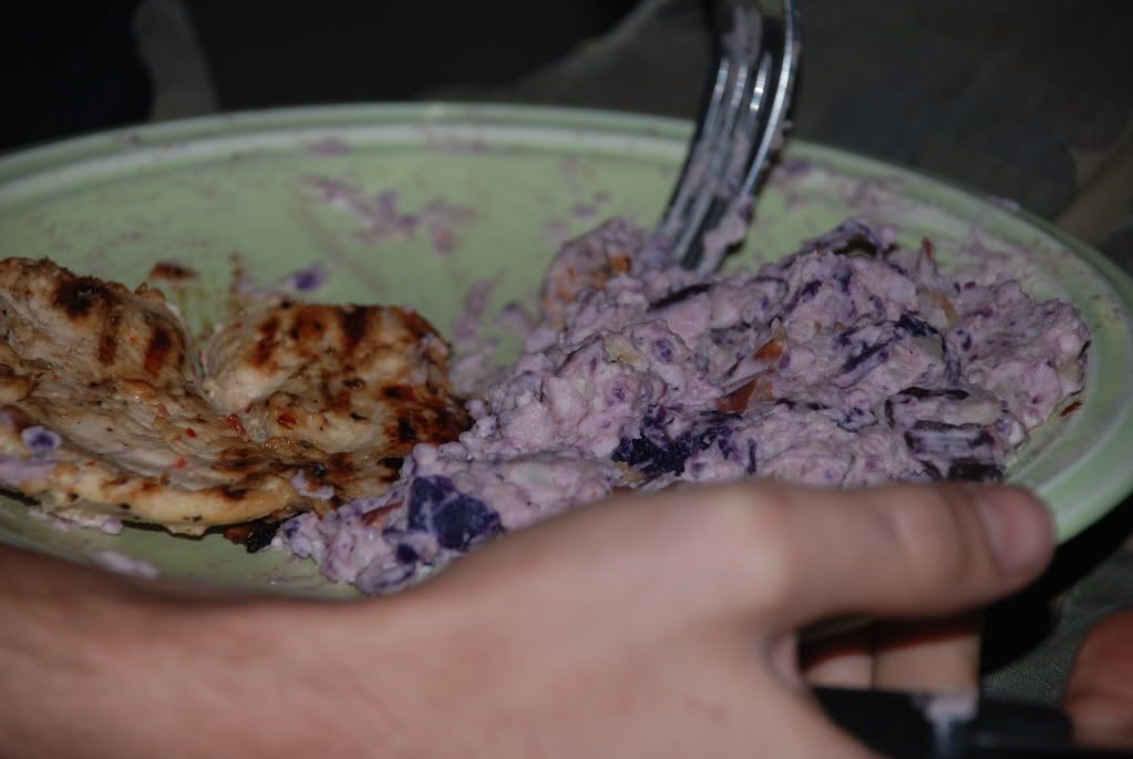 DSC_0205.jpg