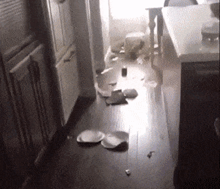 gifs_05.gif