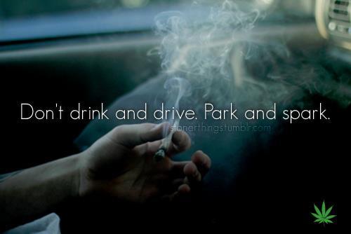 tumblr_mgz6gxVZKc1rwmj9to1_500.jpg