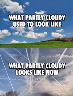 b8b5fcc19f031d4552970c9667c3d646.jpg
