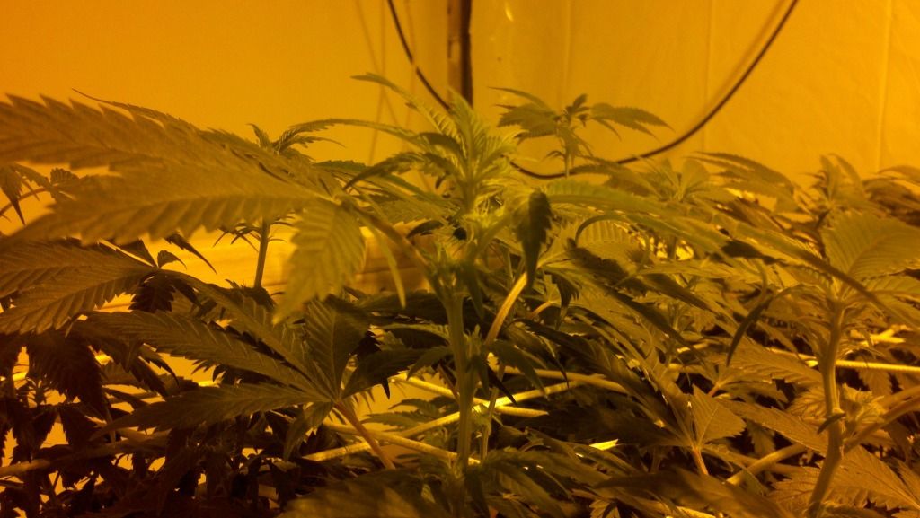 2012-01-04_20-42-37_782.jpg