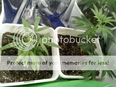 2011-09-15_23-48-17_856.jpg