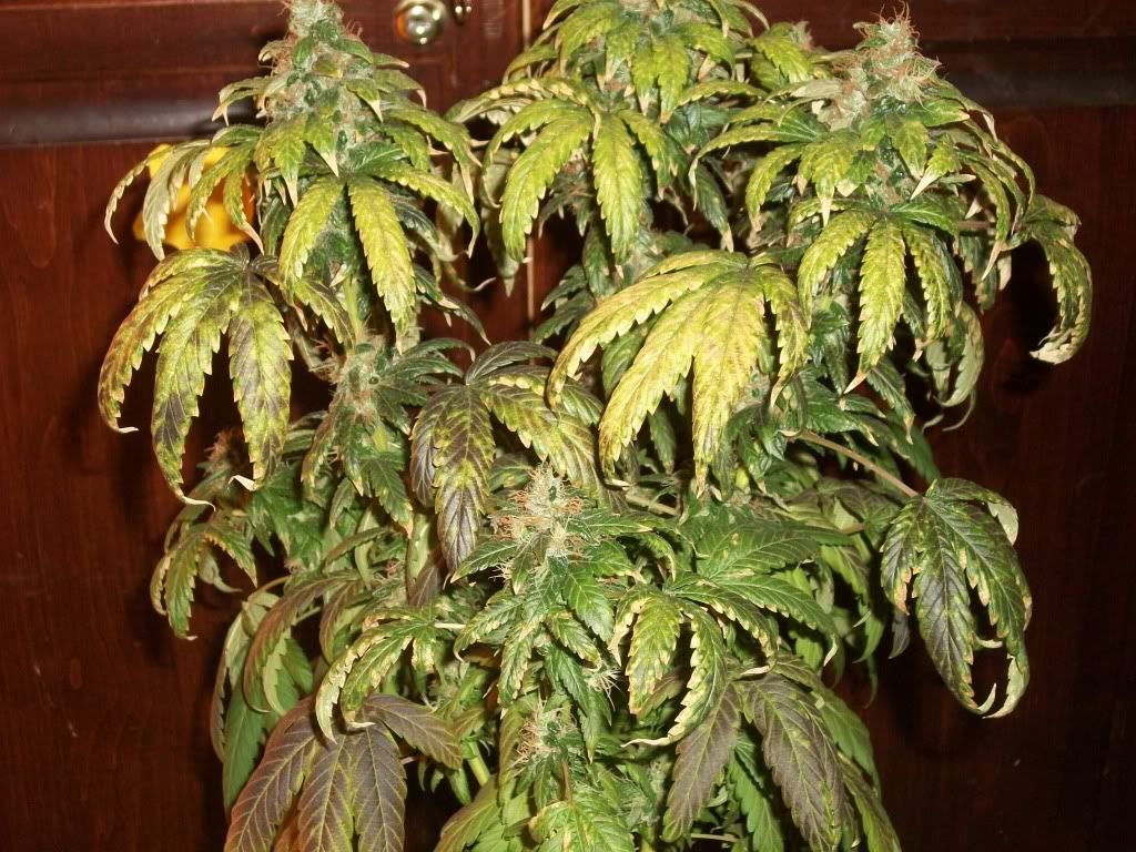 11-05-11004.jpg