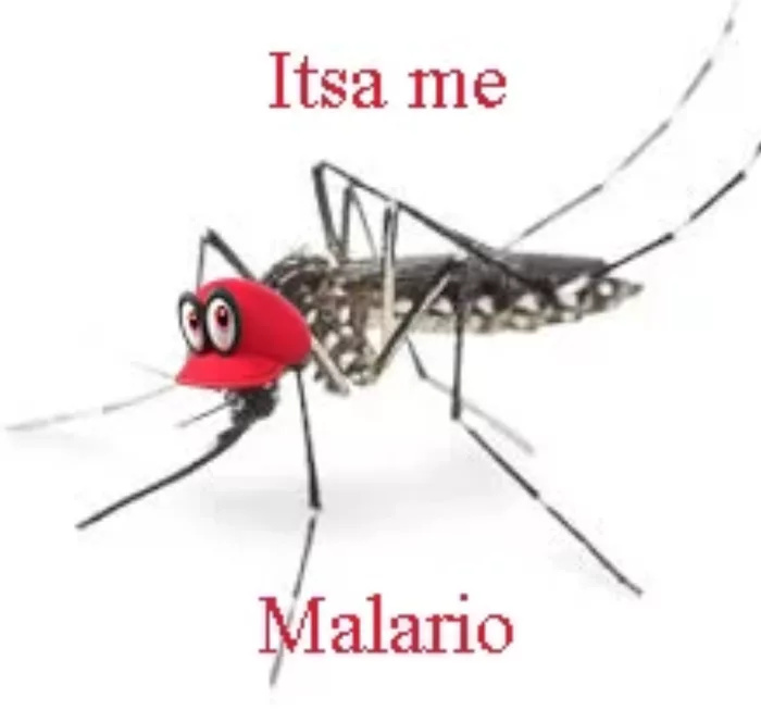 mosquito-memes-11.jpg