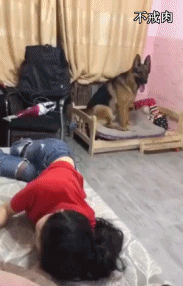 gifs_24.gif