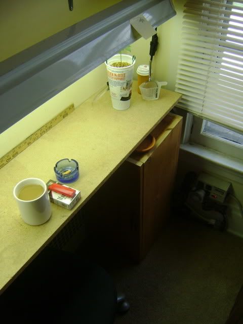 DSC00002.jpg