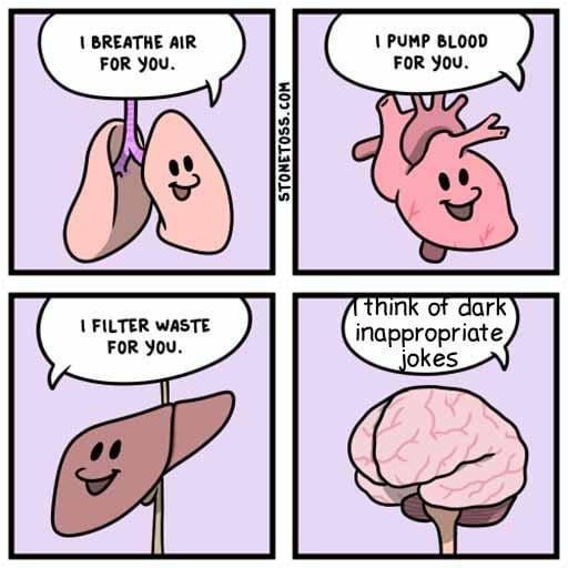 67ea9cb189a26.jpeg