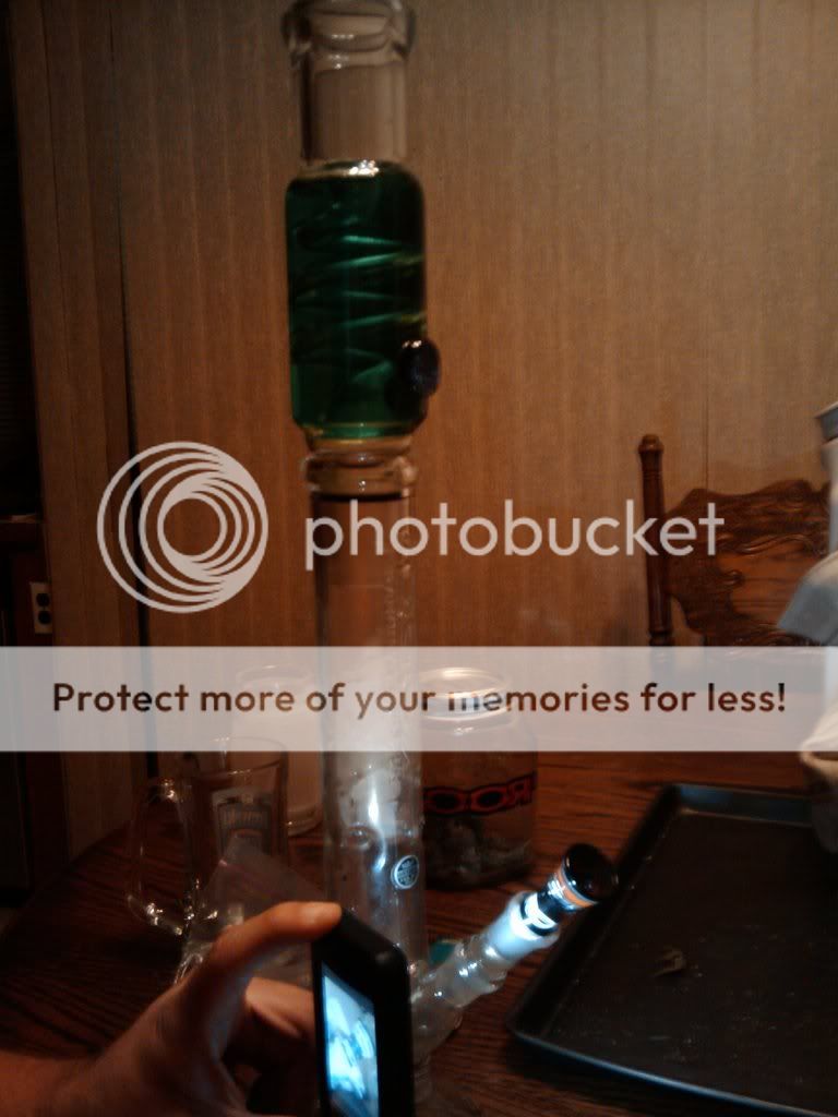 2009-09-13214213.jpg