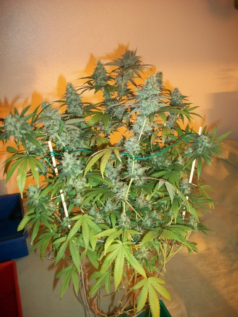 11-02-11016.jpg
