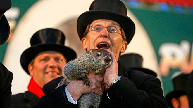 GroundhogDay2214.jpg