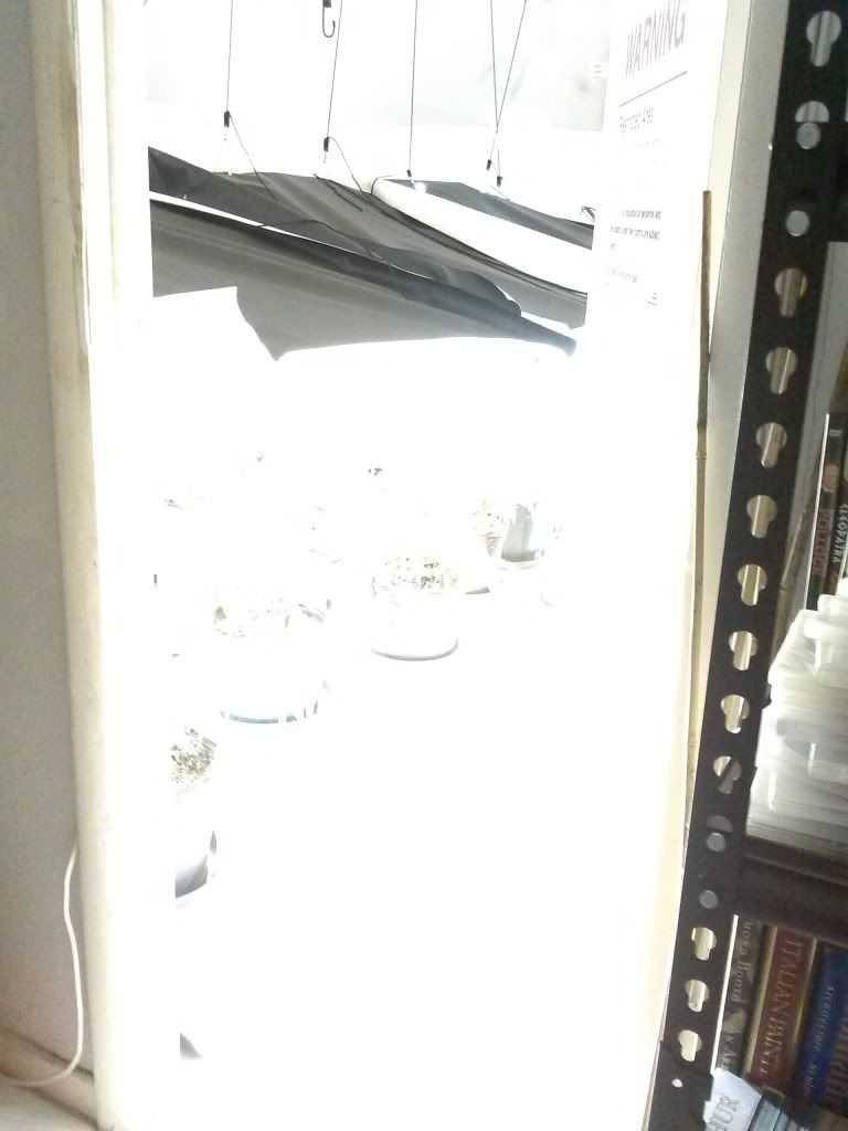 CAM00838_zpsfa32566b.jpg