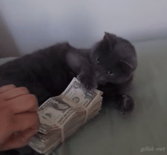 gifs_21.gif
