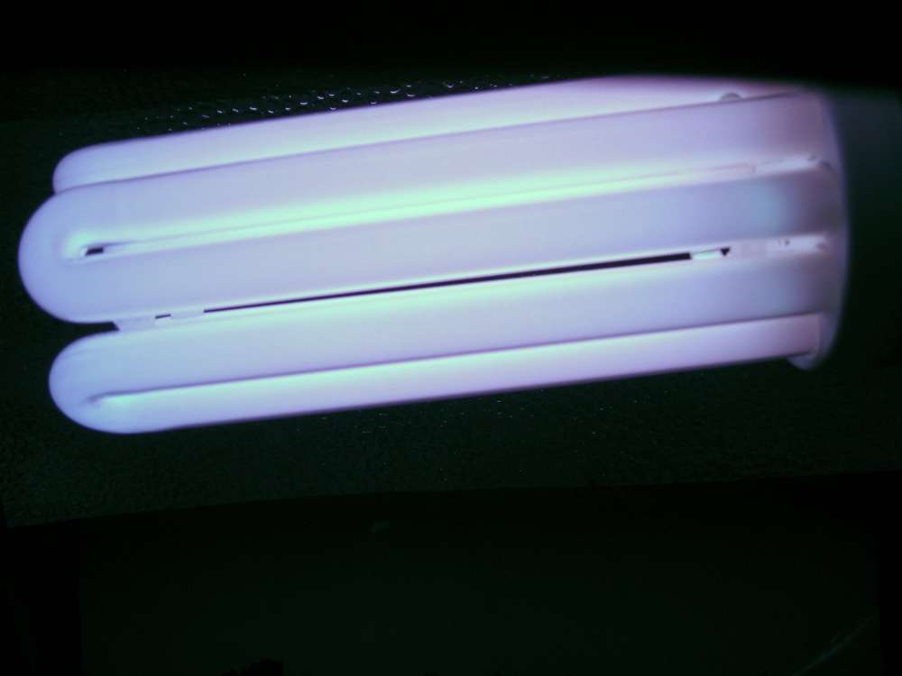 img2160f.jpg