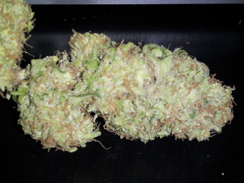 CameraZOOM-20120313234000880.jpg