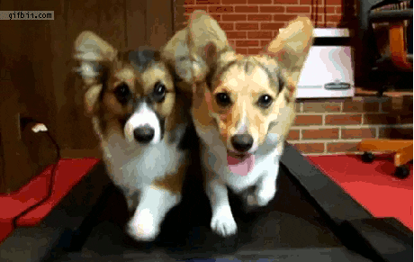 IKjN3xaxYUxeU.gif
