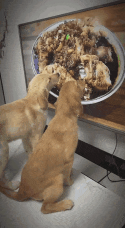 1665676017_11.gif