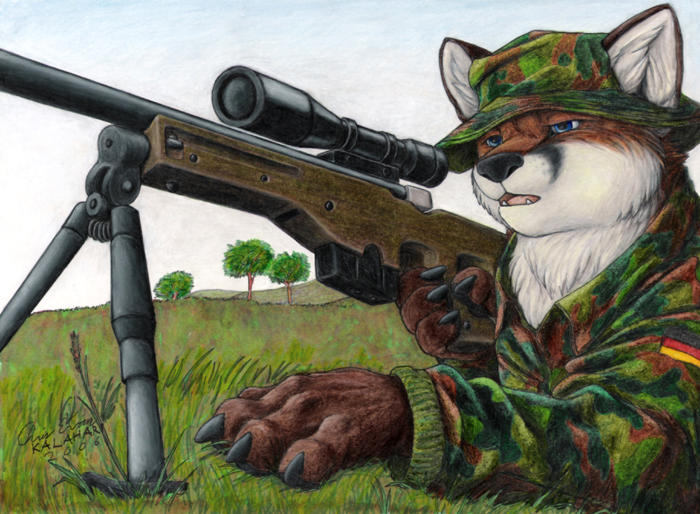 Sniper_in_Kosovo_by_KalahariFox.jpg