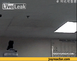 gif-fire-guy-trick-706604.gif