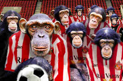sunderlandmonkeys.jpg