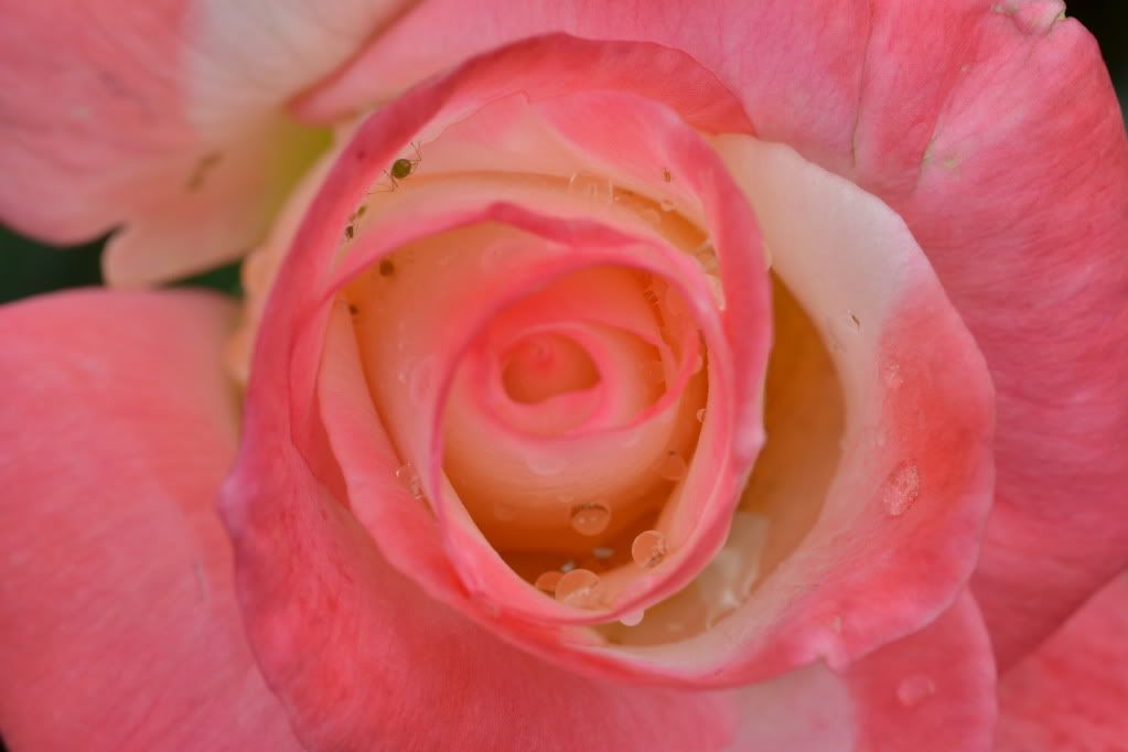 DSC_0054.jpg