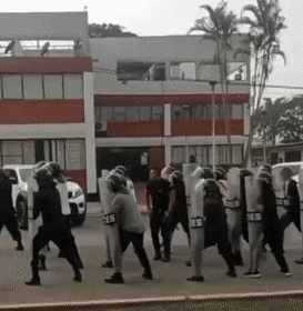 1666978138_24.gif