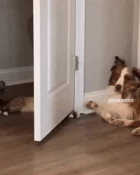 1675093627_12.gif