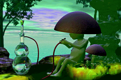 shrooms.gif