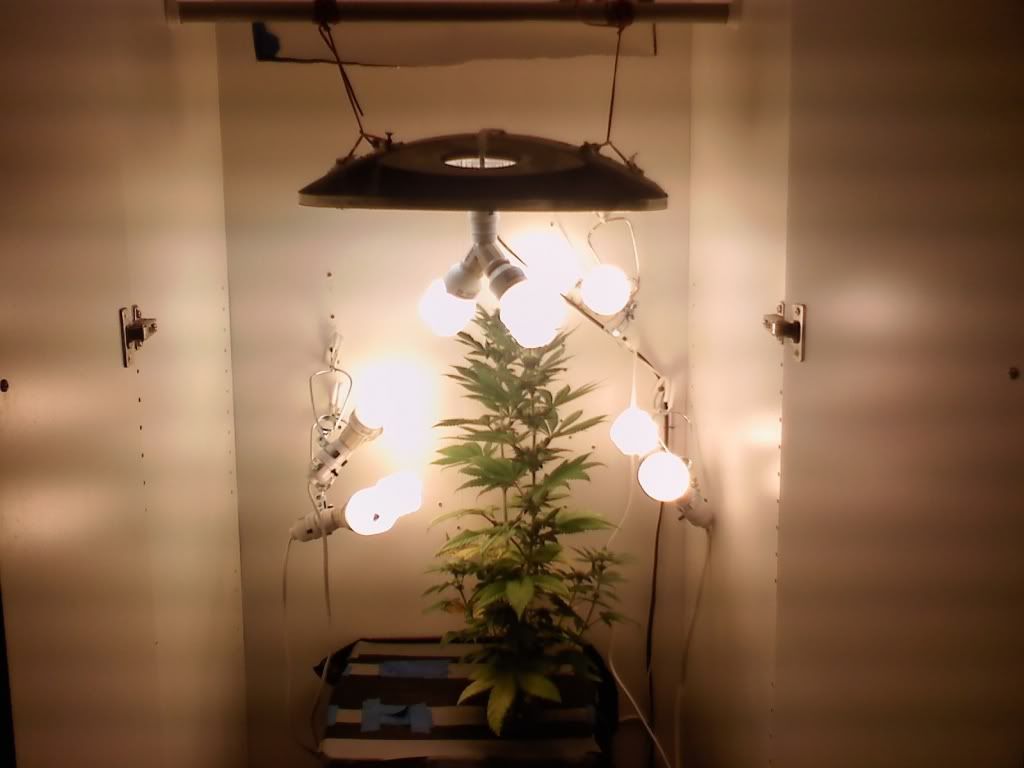R3GHETTOSETUPFD32.jpg