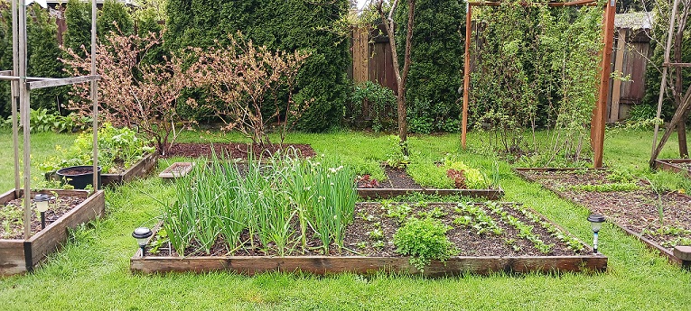 2022419gardenb.jpg