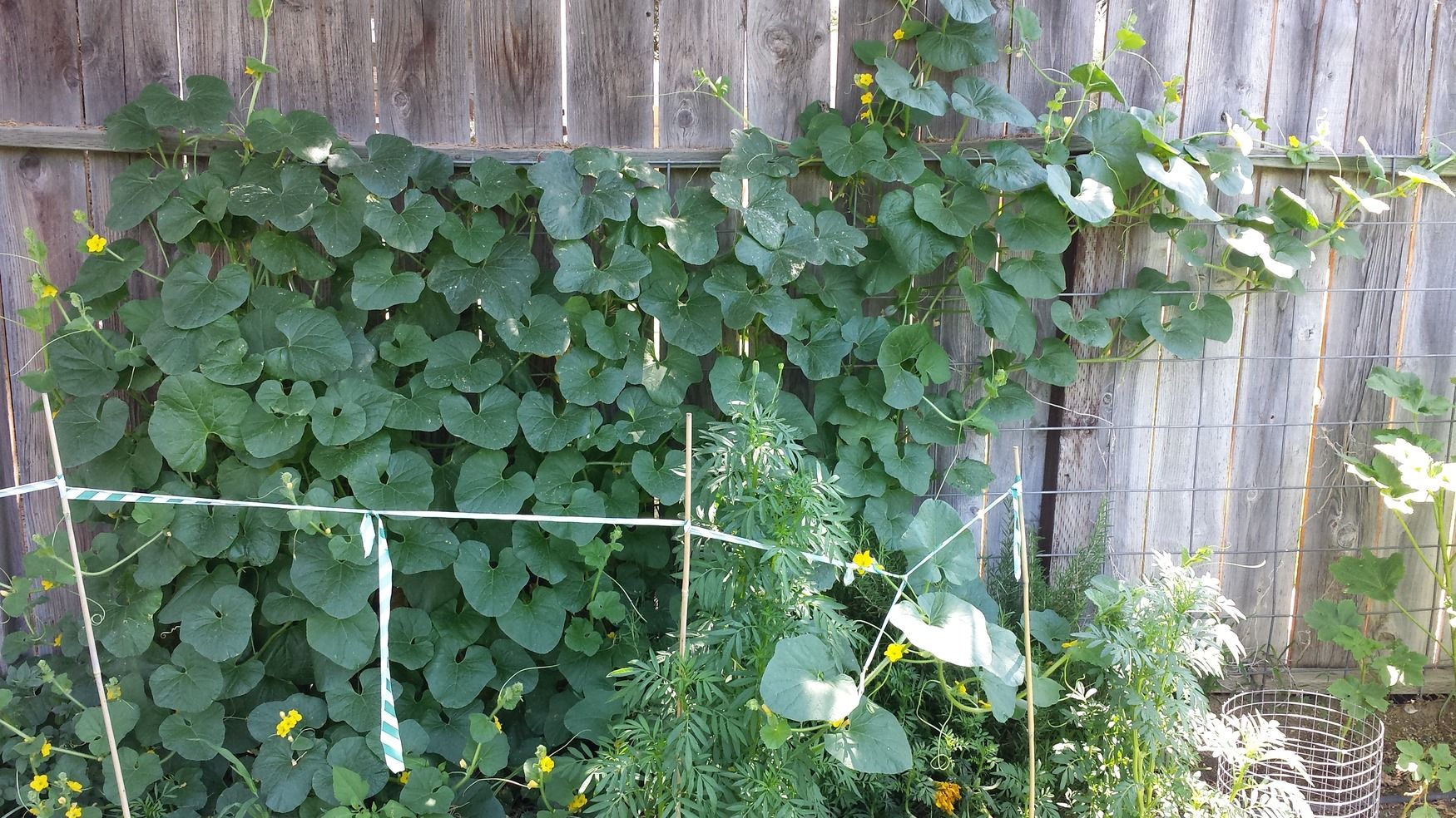 20140729_114336.jpg