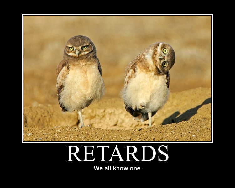 Retarded_by_Silestus.jpg