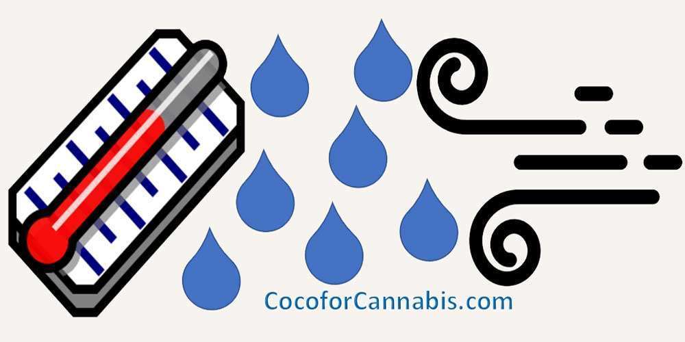 www.cocoforcannabis.com