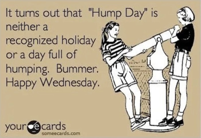 hump-day-memes-23.jpg