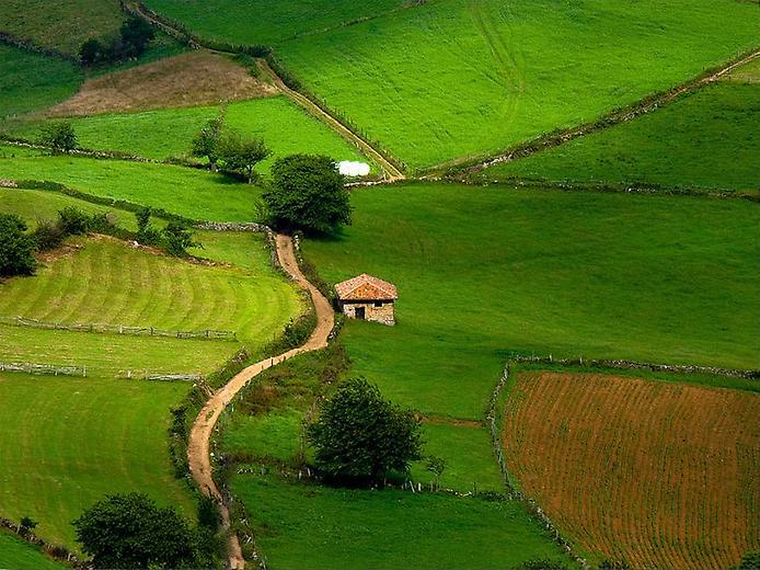 Spain_Countryside-life_6703.jpg