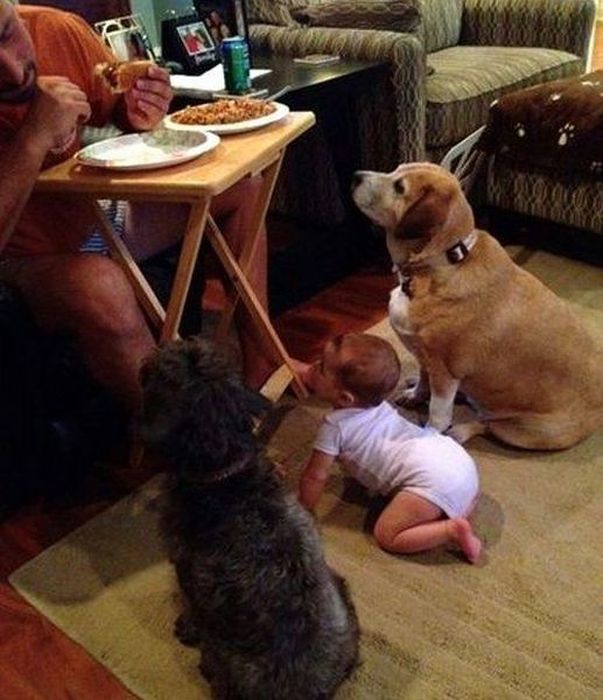 acid_picdump_11.jpg
