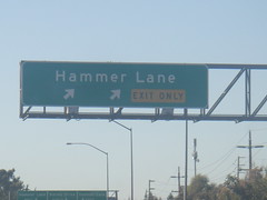 3681954627_13684d1708_m.jpg