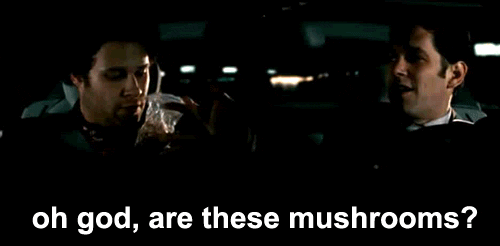 tumblr_m4r51mdarb1r00g1wo1_500.gif