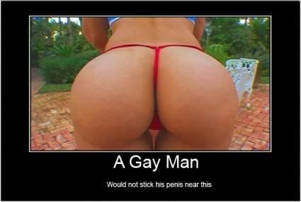 gay-3.jpg