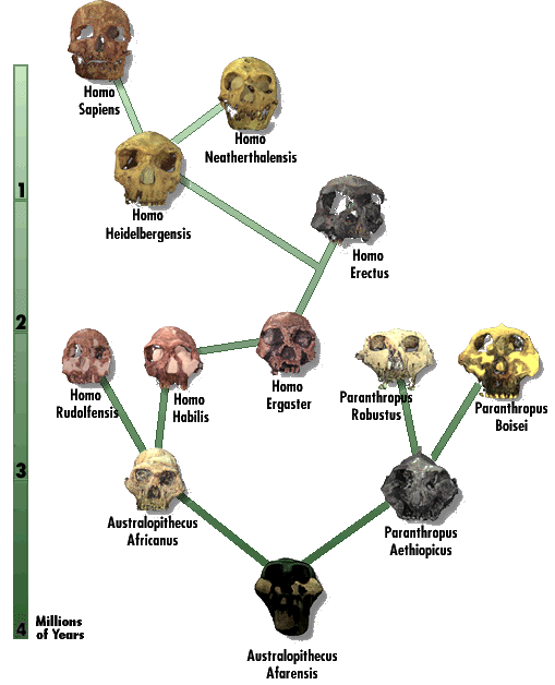 iskull.gif