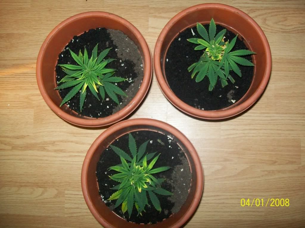 Photo031.jpg